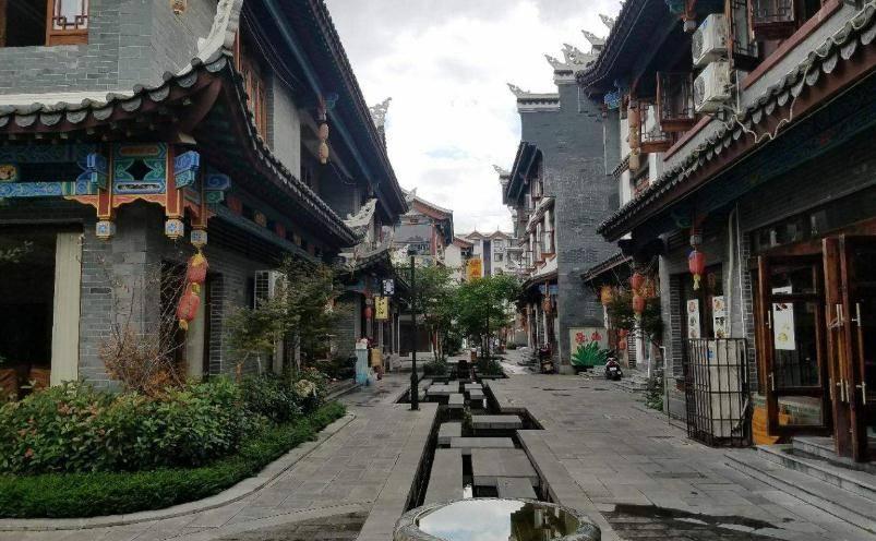 除虫大师